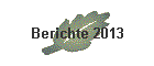 Berichte 2013